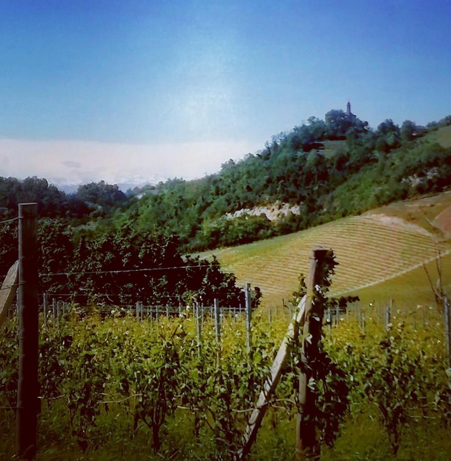 Teresa Al Belvedere Rooms&Holidayapartments Camere&Appartamenti Castellinaldo Zewnętrze zdjęcie