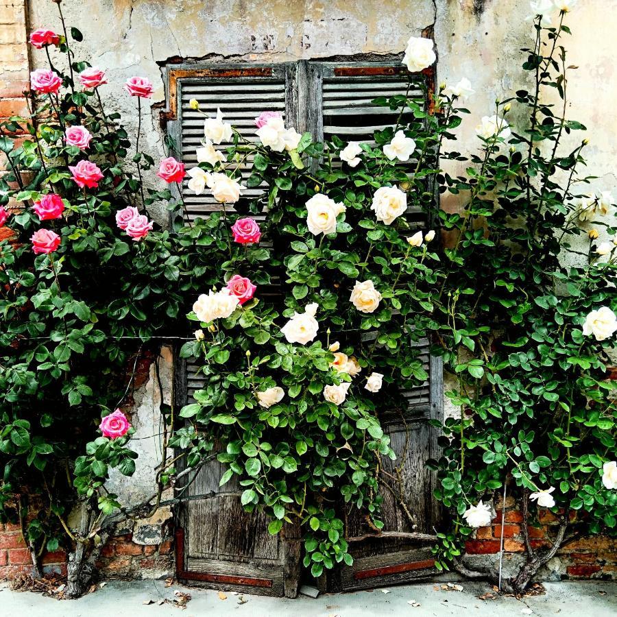 Teresa Al Belvedere Rooms&Holidayapartments Camere&Appartamenti Castellinaldo Zewnętrze zdjęcie