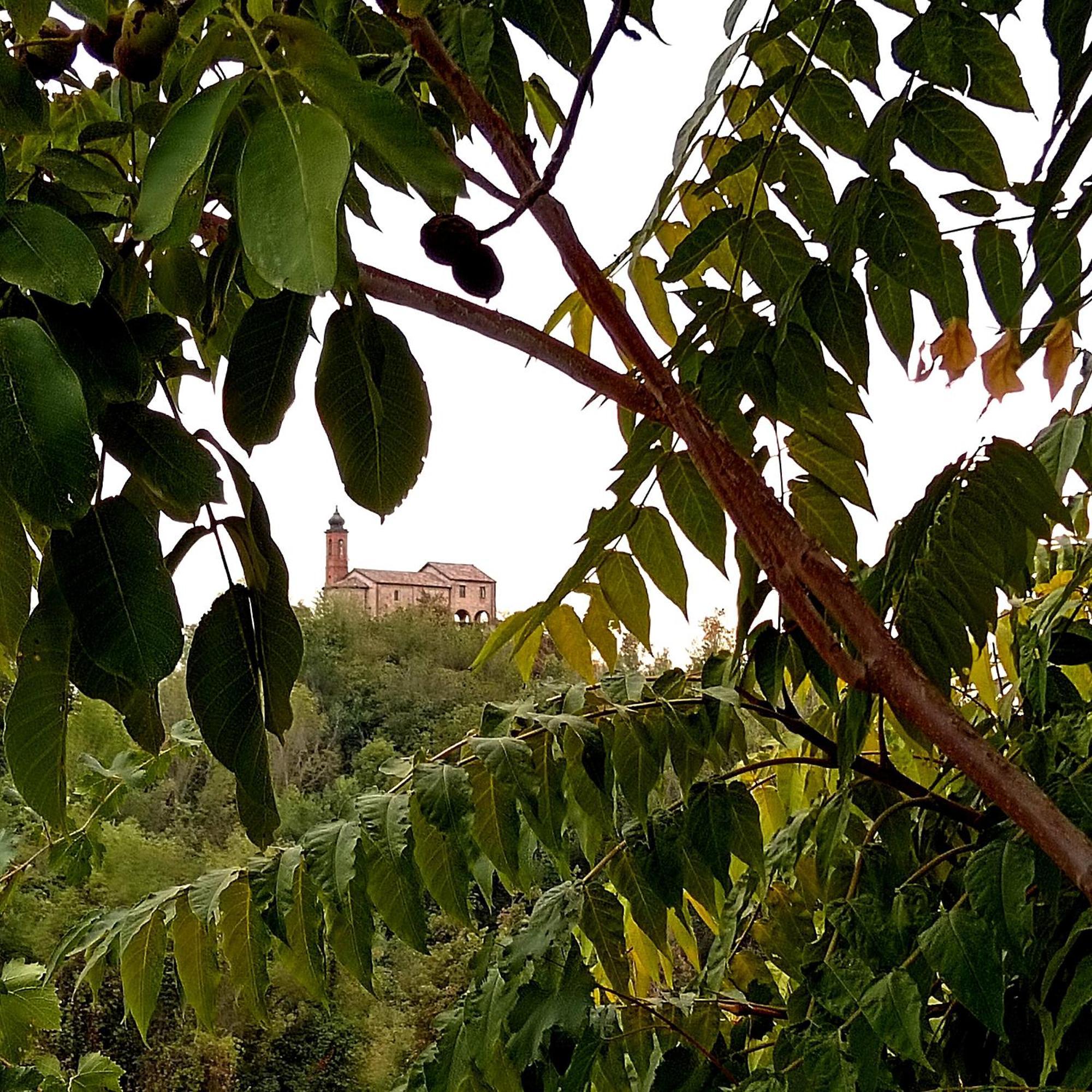 Teresa Al Belvedere Rooms&Holidayapartments Camere&Appartamenti Castellinaldo Zewnętrze zdjęcie