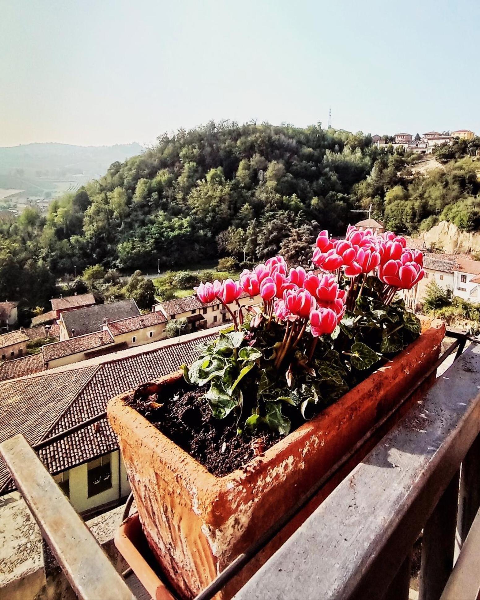 Teresa Al Belvedere Rooms&Holidayapartments Camere&Appartamenti Castellinaldo Zewnętrze zdjęcie
